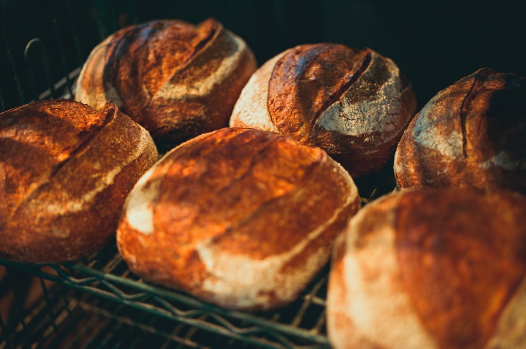 Photo by Intrepid on Unsplash