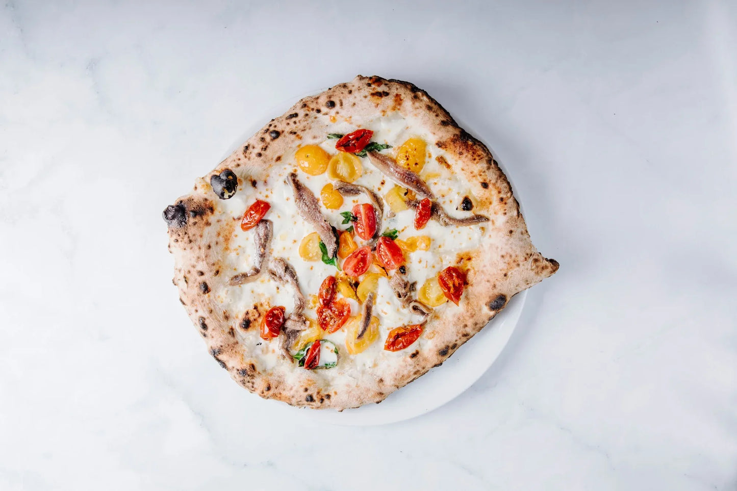 White_Pizza_Background - DoughRise.Store