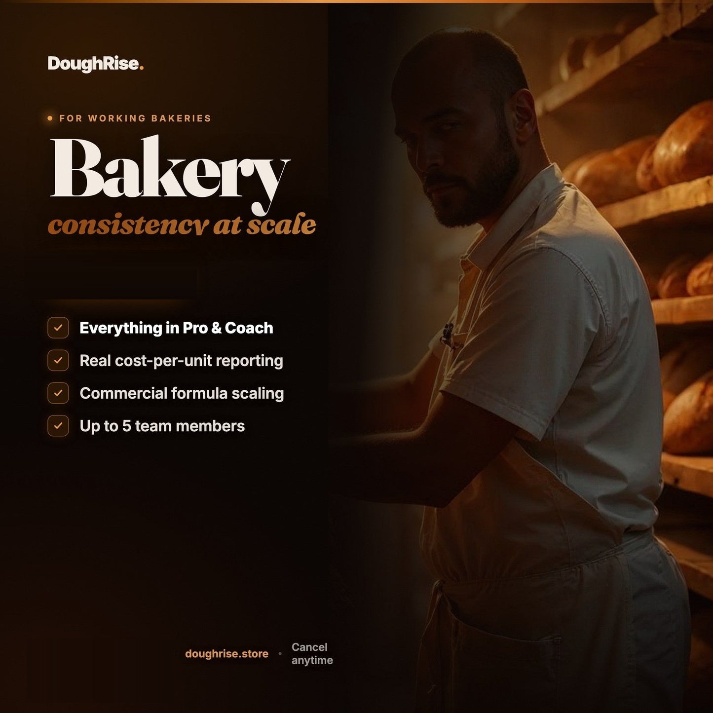 DoughRise Bakery — commercial baking consistency at scale for working bakeries