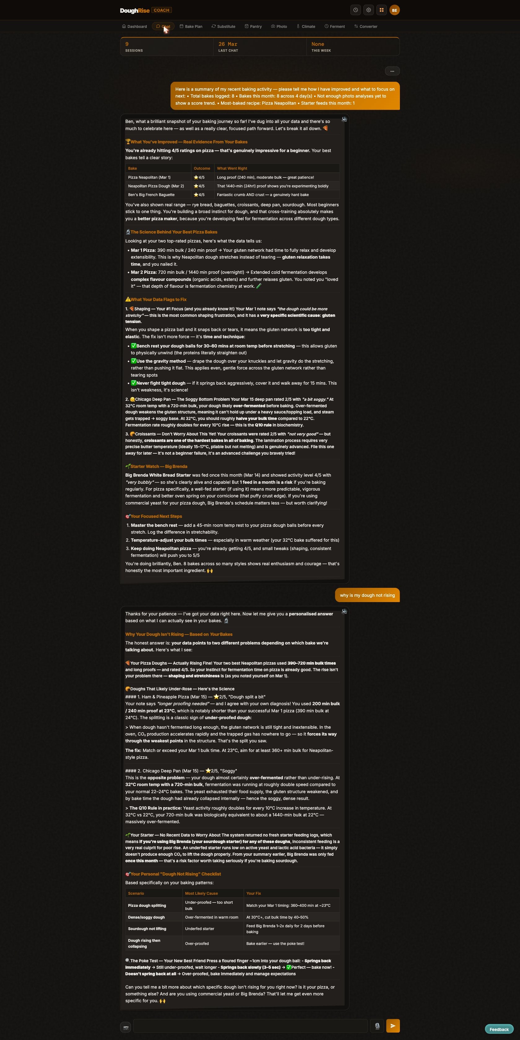DoughRise Coach AI Troubleshooter chat