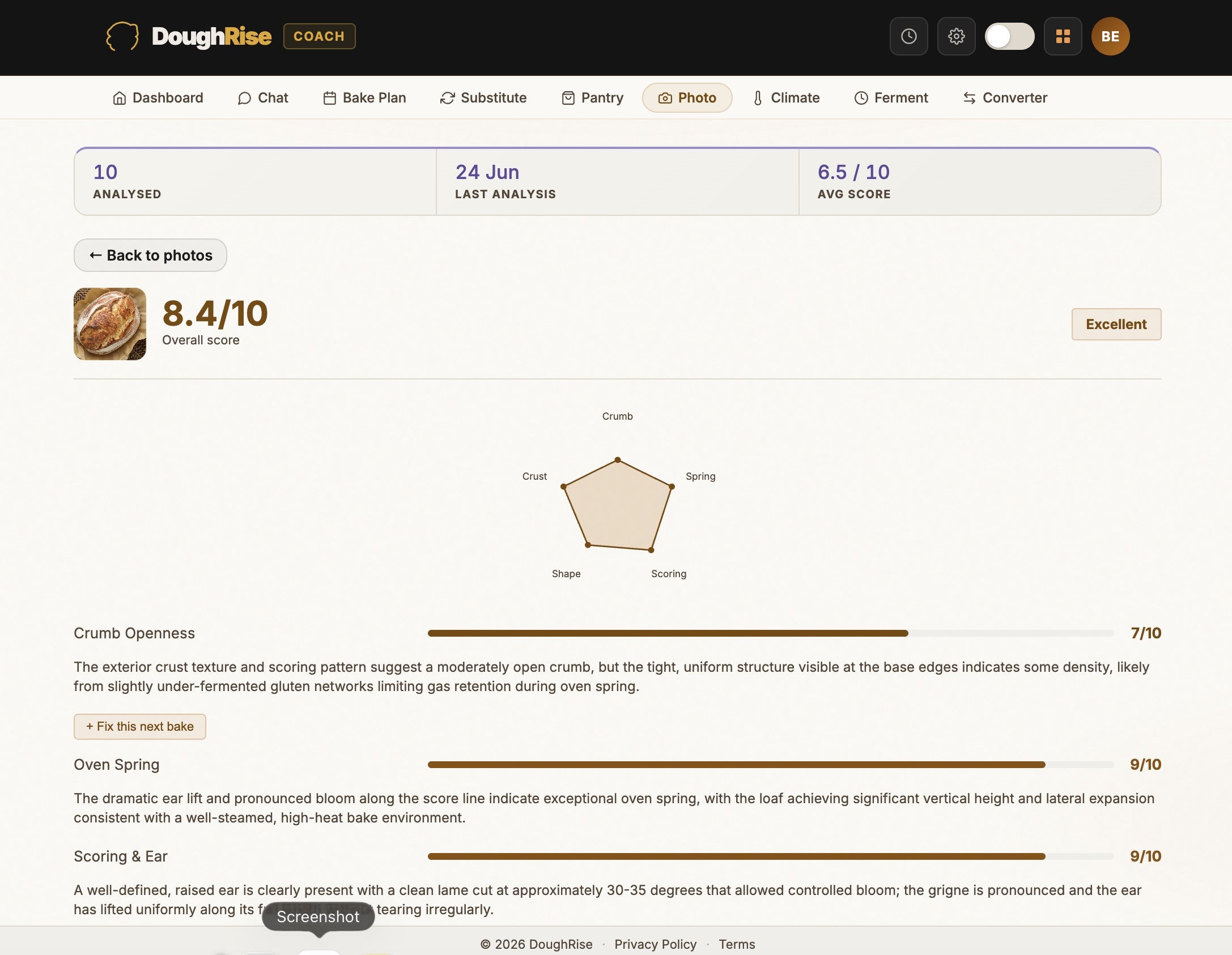 The DoughRise Coach photo analysis screen, showing an 8.4 out of 10 Excellent verdict, a five-point radar breakdown of crumb, spring, scoring, shape and crust, and the written analysis for each metric