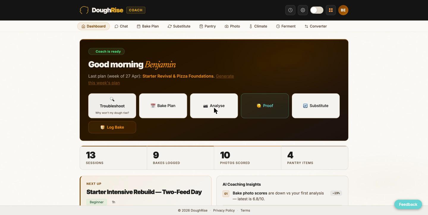 DoughRise Coach screenshot: the progress dashboard