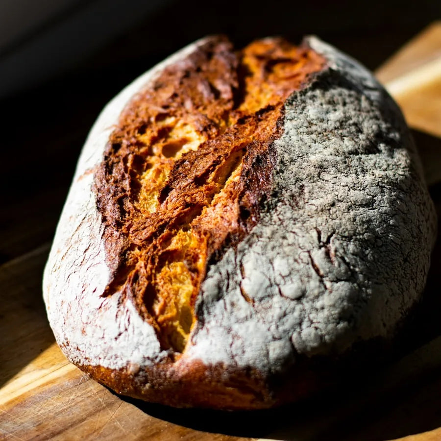 Baked sourdough loaf with a single curled ear of crust